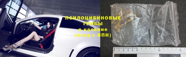 гидра Струнино