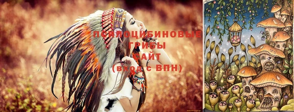 альфа пвп Строитель