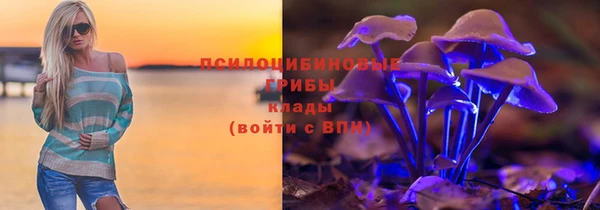 гидра Струнино