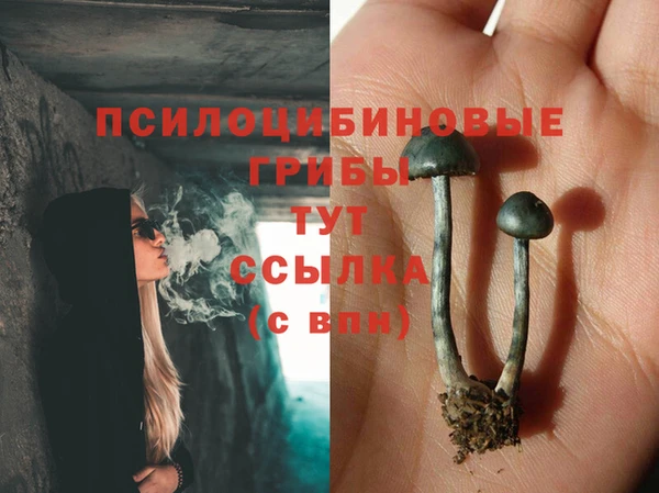 альфа пвп Строитель