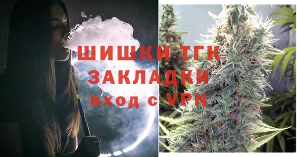 гидра Струнино