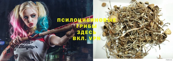 гидра Струнино