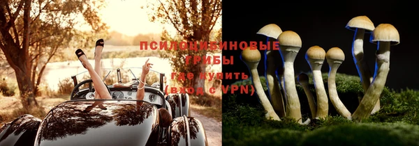 гидра Струнино