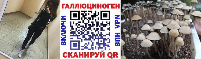 Купить где  Пыталово  Галлюциногенные грибы Magic Shrooms 
